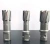 Carbide tipped magnetic core drill bit 