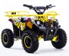 Mini quad bikes for kids