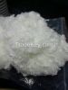  fiber 7d 64mm siliconised recyled polyester staple fibre Hollow Conjugated Polyester Staple Fiber for Filling