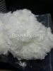 Virgin Grade & Regent - Conjugate Hollow Fibre - Non Siliconized Polyester fibers