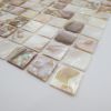  Mother of Pearl Tile ...