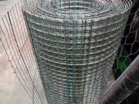 Customized Application Welded Wire Mesh Rolls