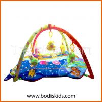 Baby Gym Playmat