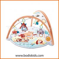 Baby Crawling Activity Play Mat