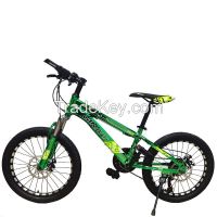 China high quality steel frame cycle mountain bike factory price