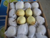 Ya Pear,Su Pear,Crown Pear,Shandong Pear,Golden Pear