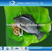 black Tilapia whole round