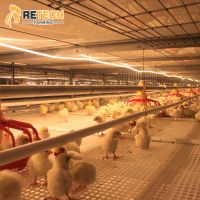 RETECH Design Morden Automatic Broiler Chicken Cage for Sale