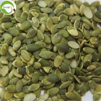 Factory Hot Sale Shine Skin Pumpkin Kernels