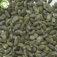 Factory Supply Hot Sale GWS Pumpkin Kernels