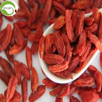 Hight Quality Nutrition Dried Organic Goji Berry