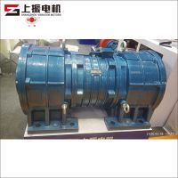 The Biggest Vibrator Motor In The World With 500KN And 32KW