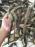 Buy Cheap Dried Seahorse fast shipping to China
