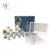 Mouse High mobility group protein B1, Hmgb1 Elisa Kit (E0678Mo)