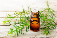 Tea tree oil, Oil of melaleuca alternifolia, terpinen-4-ol type