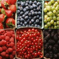 Fresh Delicious Organic Berries