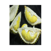 Top Supplier High Quality Frozen Durian Pulp XO D24 from Fresh Durian Fruits