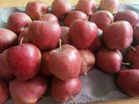 Fresh Fruits Red Fuji Apples For Sell At Cheap Price