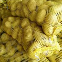 Potato fresh sweet potatoes high quality cheap price professional export wholesalers fresh potato