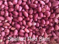 Peanut kernel red skin