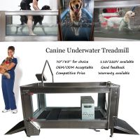 Canine underwater treadmill, dog water treadmill, Hydrotherapy Water Treadmill, China factory