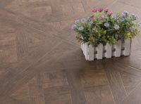 Art Parquet HDF Laminate Floor AC4