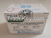 Human CYP2C19*2&Atilde;&pound;&iuml;&iquest;&frac12;&iuml;&iquest;&frac12;*3&Atilde;&pound;&iuml;&iquest;&frac12;&iuml;&iquest;&frac12;*17 Gene Polymorphism Detection Kit (Fluorescence P