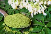 Organic Natural Moringa Leaf Powder Moringa Oleifera Capsules Wholesale Price/ MS. Selena +84 906 086 094