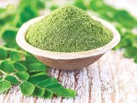 High quality moringa leaf powder from Vietnam/ MS. Selena +84 906 086 094