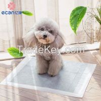 dog pee pee pad puppy pet training pad
