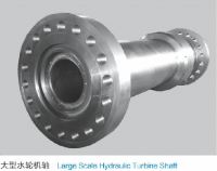 Turbine shaft