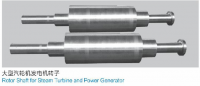 rotor Shaft 