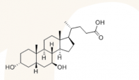  Ursodeoxycholic Acid (UDCA)