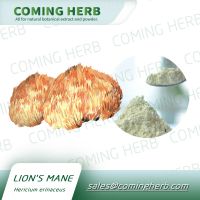 Lion&#039;s Mane Mushroom / Hericium Erinaceus Powder