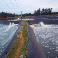 HDPE Geomembrane Liner for fish pond