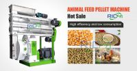 1-48T/H poultry pellet making device for pet