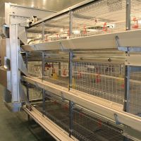 Poultry Broiler cage