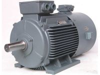 Variable Frequency Drive VFD Motor 3-Phase Async AC Motor