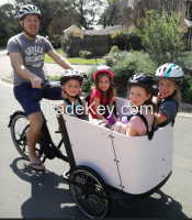 CE approved three wheel cycling electric cargo bike for family use kid