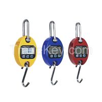 Industrial  Hook Mini Crane Digital  Scale 500kg