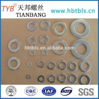 Flat Washer