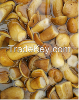 Boletus edulis in brine