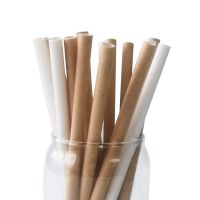 China Factory OEM ODM Brand Logo Printed Paper Straw With Custom 