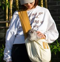 cat carrier shoulder bag