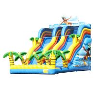 Inflatable bouncer with dual slides commercial water slide for children outdoor