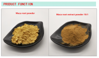 Maca  Extract Powder