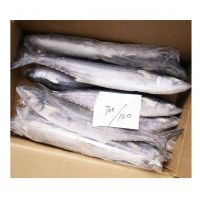 Frozen Fresh Atlantic/Pacific/Horse Mackerel Fish Products