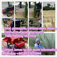 Banana flax peeler Sisal, pineapple Abaca, hemp peeling machine