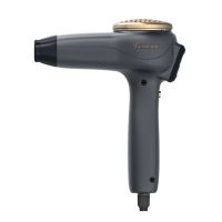 Professional hair dryer.