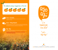 Jeju Tangerines Skin Care Products
